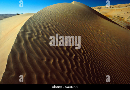 Dunes de sable dans le désert d'Oman, près de la frontière avec l'Arabie Saoudite Banque D'Images
