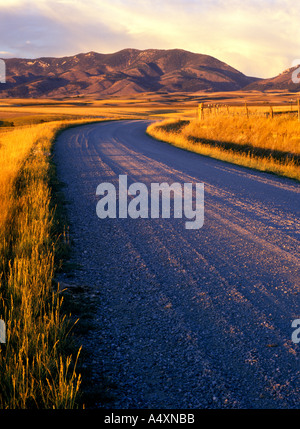 Courbes de gravier à travers les champs de blé de la vallée Gallatin éclairées par la lumière de soleil chaud, au Montana, USA Banque D'Images