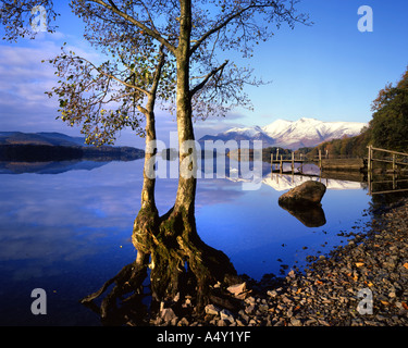 Fr - cumbria : derwentwater dans le parc national de lake district Banque D'Images