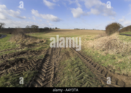 Passerelle sur le terrain boueux menant à un champ dans un paysage agricole rural typique Norfolk UK Février Banque D'Images