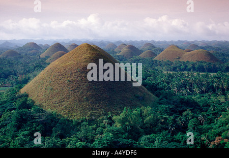 Collines de chocolat Philippinen Philippines Banque D'Images