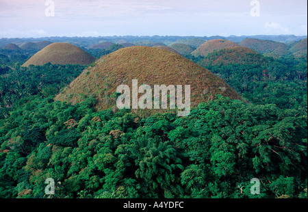 Collines de chocolat Philippinen Philippines Banque D'Images