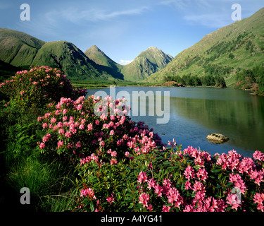 GB - Ecosse : Glen Etive dans les Highlands, l'Argyllshire Banque D'Images