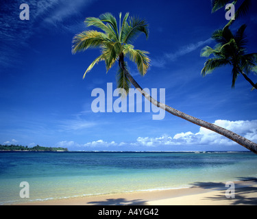 FJ - plage typique de la côte ouest de Fidji Banque D'Images