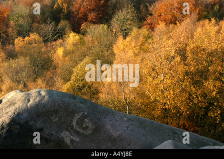 Couleurs d'automne à roches noires dans le Derbyshire Banque D'Images