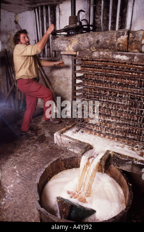 Cidre traditionnel à Devon Axminster Banque D'Images