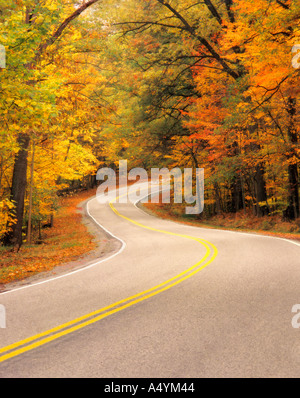 Route sinueuse à travers la forêt en automne feuillage Parc national de Cuyahoga Valley, Ohio USA Banque D'Images