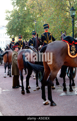 Remembrance Day 2006 à Londres Banque D'Images