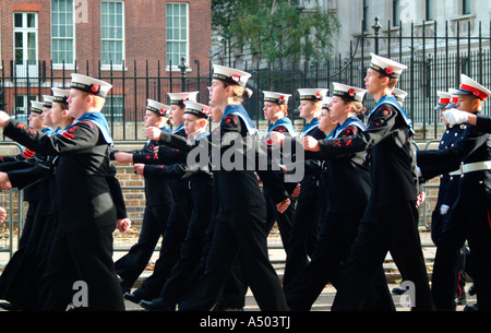 Remembrance Day 2006 à Londres Banque D'Images