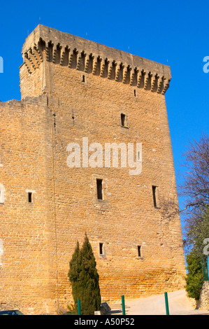 Les ruines de l'été du Pape, château de Chateauneuf-du-Pape, Vaucluse, Rhône, Provence, France Banque D'Images