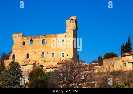 Les ruines de l'été du Pape, château de Chateauneuf-du-Pape, Vaucluse, Rhône, Provence, France Banque D'Images