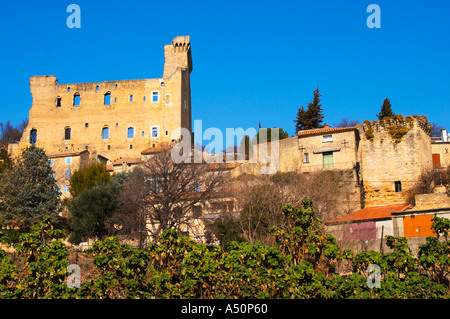 Les ruines de l'été du Pape, château de Chateauneuf-du-Pape, Vaucluse, Rhône, Provence, France Banque D'Images