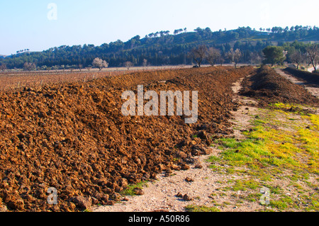 Engrais organiques bio-dynamique pour être utilisés comme engrais au Mas de Gourgonnier, dans Les Baux de Provence, bouche du Rhone, France Banque D'Images