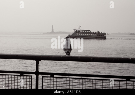 Une vue sur le ferry pour Staten Island avec la Statue de la liberté et un seagul de Battery Park New York USA Banque D'Images