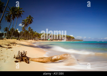 La plage de Uvero Alto près de Playa Del Macao et Punta Cana en République Dominicaine Banque D'Images