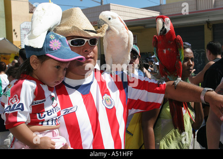 Miami Florida,Little Havana,Calle Ocho Carnaval,père papa,parents,fille,macaw,perroquet,posant,pose,appareil photo,numérique,les visiteurs voyagent t Banque D'Images