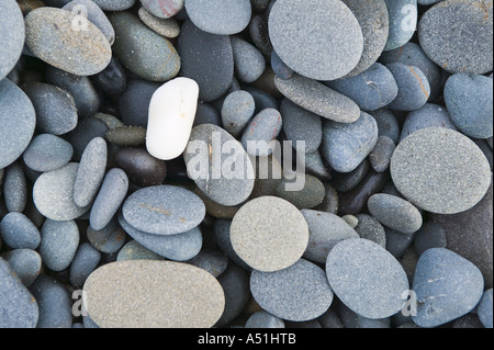 Libre de rochers et de galets sur la plage Rialto Washington USA Banque D'Images