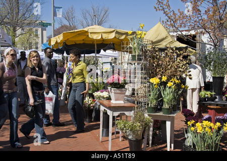 Les gens shopping parmi les étals de fleurs sur le marché de l'est Washington DC USA Banque D'Images