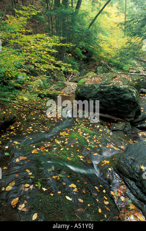 Middlebury VT Une cascade sur un affluent du Vermont s New Haven River Green Mountain National Forest Banque D'Images