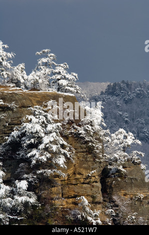 Avis de Lookout Point depuis le sommet de l'arche du Pont naturel après une tempête d'hiver Parc d'état de Natural Bridge Virginia Banque D'Images