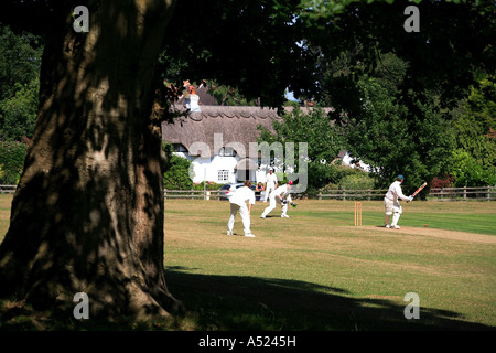 Le match de cricket Swan Lyndhurst Vert Le parc national New Forest Hampshire Angleterre Banque D'Images