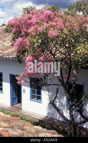 Atrium du Musée Municipal d'art moderne avec un arbre en fleur rose dans la ville de Cuenca en Equateur Banque D'Images