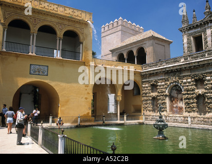Reales Alcazares, Séville, Espagne Banque D'Images