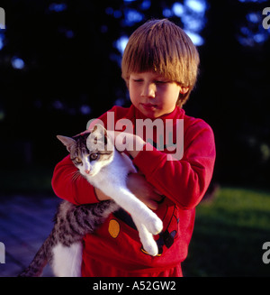 Garçon de taquinerie et de caresser un chat domestique. Photo par Willy Matheisl Banque D'Images