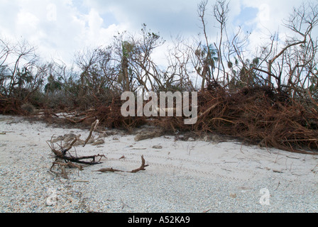 L'ouragan Jeanne tempête dommages aux dunes beach Hutchinson Island Saint Lucie County Florida Banque D'Images