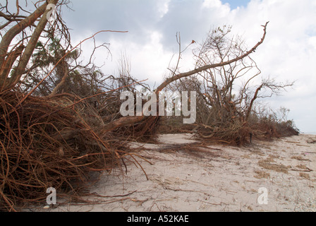 L'ouragan Jeanne tempête dommages aux dunes beach Hutchinson Island Saint Lucie County Florida Banque D'Images