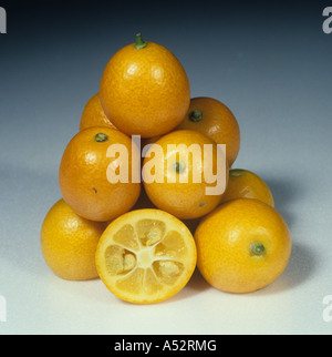 Ensemble composé de fruits divers kumquat Marumi Kumquat rond ou Banque D'Images