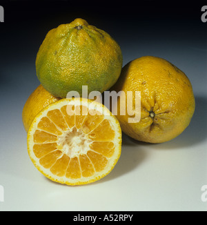 Ensemble et coupes d'Ugli fruit d'un croisement entre une mandarine et un pamplemousse Banque D'Images