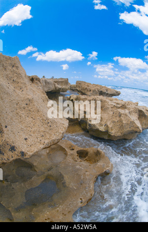 Rivage rocheux Hutchinson Island près de Stuart Gilbert s Bar maison de refuge Floride plages côtières de calcaire des roches Banque D'Images