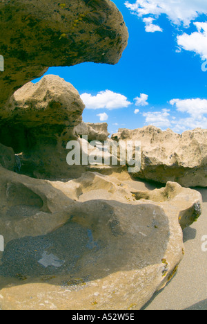 Rivage rocheux Hutchinson Island près de Stuart Gilbert s Bar maison de refuge Floride plages côtières de calcaire des roches Banque D'Images