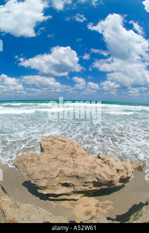 Rivage rocheux Hutchinson Island près de Stuart Gilbert s Bar maison de refuge Floride plages côtières de calcaire des roches Banque D'Images
