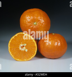 Ensemble de coupes d'agrumes tangelo gamme Semminole Banque D'Images