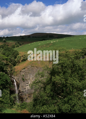 FFRWD FAWR CASCADE en été où la rivière Twymyn descend une falaise dans les gorges Dylife Powys Pays de Galles Banque D'Images