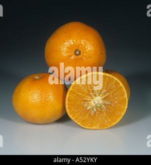 Ensemble et en suprêmes de mandarine variété de fruit Fallglo Banque D'Images