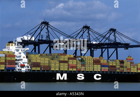 MSC-conteneurs déchargés à Trinity quai du port de Felixstowe, Suffolk, UK. Banque D'Images