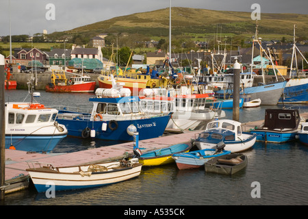 Port naturel port de pêche avec des bateaux amarrés sur les quais colorés des maisons de ville sur la péninsule de Dingle Dingle Co Kerry Eire Banque D'Images