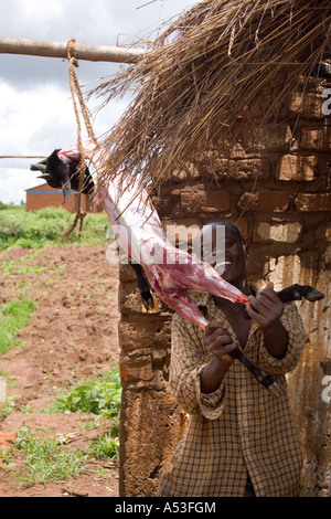Fier agriculteur exhibant sa peau fraîchement chèvre dans le village d'Muzamanzi Afrique Malawi Banque D'Images