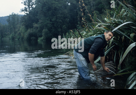 Réglage des maoris piège pour les anguilles en rivière sur la côte ouest de l'île du sud Nouvelle-zélande Banque D'Images