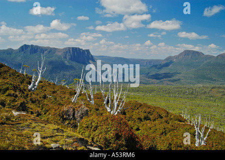 Vue sur le mont Pélion ouest à partir de la voie terrestre dans la région de Cradle Mountain Lake St Clair nationalpark Tasmanie Australie Banque D'Images