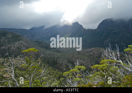 L'acropole vu du labyrinthe près de Pine Valley sur l'Overland track dans Cradle Mountain Lake St Clair nationalpark Tasmanie Banque D'Images