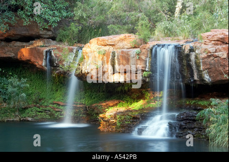 Cascade de Fern piscine dans la lumière du matin Dales Gorge Parc national de Karijini région de Pilbara en Australie-Occidentale WA Banque D'Images