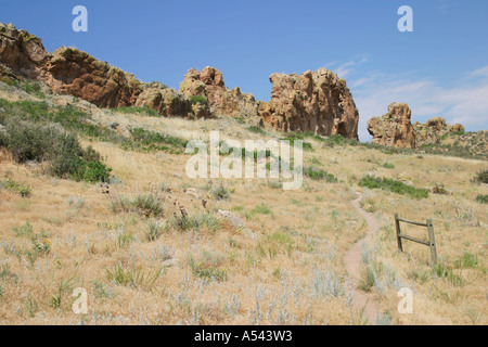Sentier de randonnée et l'attelage équestre au Devil's backbone Park à Loveland dans le Colorado. Banque D'Images