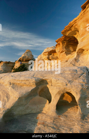 Le lever du soleil sur des formations de grès dans le parc national de Zion, Utah Banque D'Images