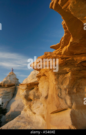 Le lever du soleil sur des formations de grès dans le parc national de Zion, Utah Banque D'Images