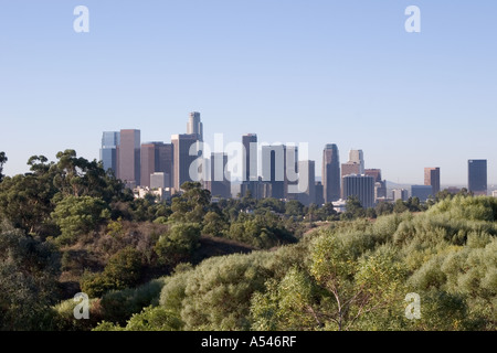 Le centre-ville de Los Angeles à partir de Elysian park Banque D'Images