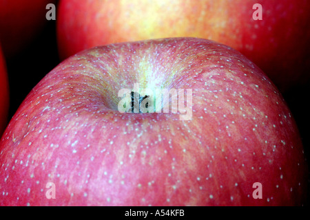 deux pommes Banque D'Images